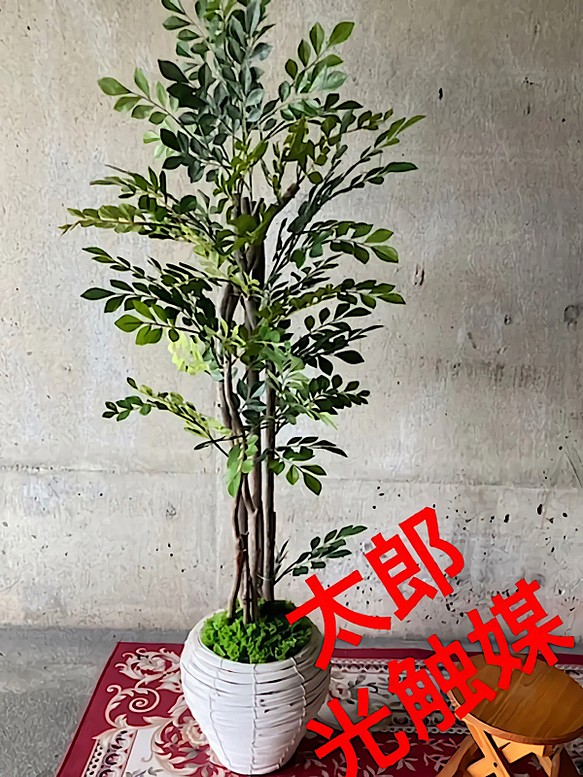 光触媒 人工観葉植物 ウォールグリーン フェイク フラワー トネリコ125-