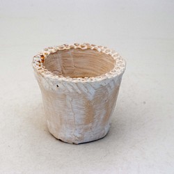 陶器製（2号ポット相当）多肉植物の欲しがる植木鉢 NSSS-4423 1枚目の画像