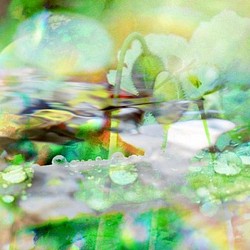 「水としずくのマーチ」　コンパクト　ミニ　アート　写真　キャンバス　カンバス　インテリア　雑貨　癒し　緑　自然　フォト 1枚目の画像
