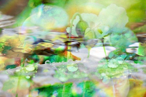 「水としずくのマーチ」　コンパクト　ミニ　アート　写真　キャンバス　カンバス　インテリア　雑貨　癒し　緑　自然　フォト 1枚目の画像