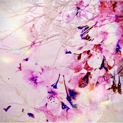 「桜舞う」コンパクト　ミニ　アート　桜　ピンク　キャンバス　プリント　カンバス　花　華やか　春　ギフト　写真　かわいい 1枚目の画像