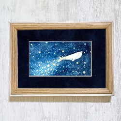 クジラが海に落とした星 1枚目の画像