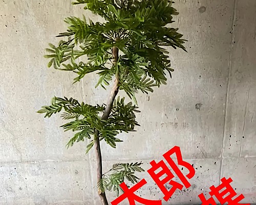 光触媒 人工観葉植物 ウォールグリーン フェイク フラワー