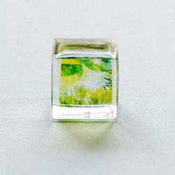 小さい小さいみどりの葉の箱　＜ レジン 透明 キューブ グリーン 植物 写真モチーフ ナチュラル さわやか＞ 1枚目の画像