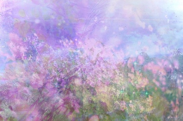 「春の野原」Ａ５サイズ　キャンバスプリント　アート　インテリア　春　ピンク　野原　自然　癒し　光　透明感　ペールカラー 1枚目の画像