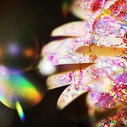 「光のさすほうへ」Ａ５サイズ　キャンパスプリント　アート　インテリア　自然　花　光　虹　神秘的　幻想的　コンパクト 1枚目の画像