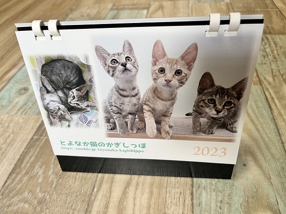 23年度 保護猫チャリティーカレンダー エコリング卓上b6サイズ 42匹の子猫の写真満載 カレンダー ねこだすけ 通販 Creema クリーマ ハンドメイド 手作り クラフト作品の販売サイト
