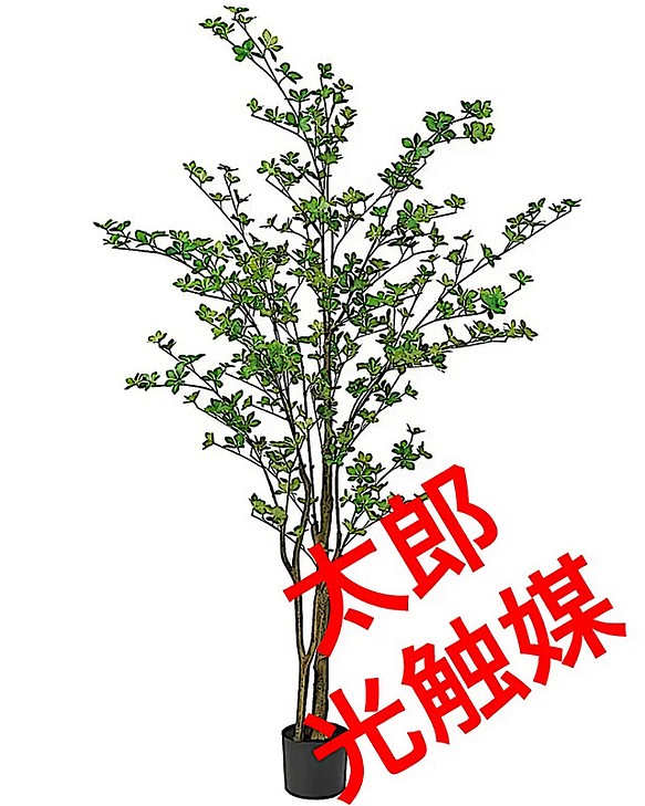 光触媒 人工観葉植物 ウォールグリーン フェイクグリーン ドウダン190-
