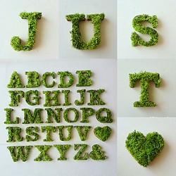 3 個木製字母對象（苔蘚）可供選擇 第1張的照片