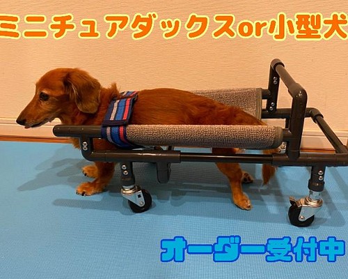 ワンちゃん4輪歩行器!リハビリ!食事補助!犬の歩行器!体制維持!犬用車椅子!