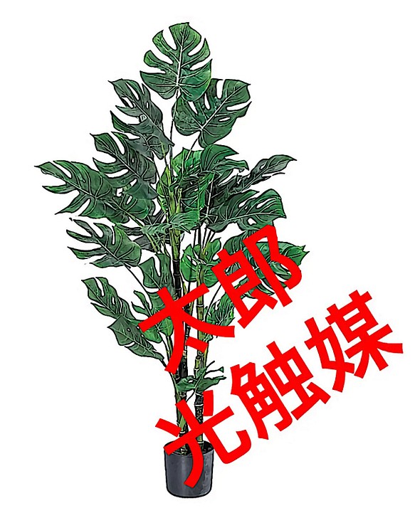 光触媒 人工観葉植物 ウォールグリーン フェイクフラワー モンステラ120-