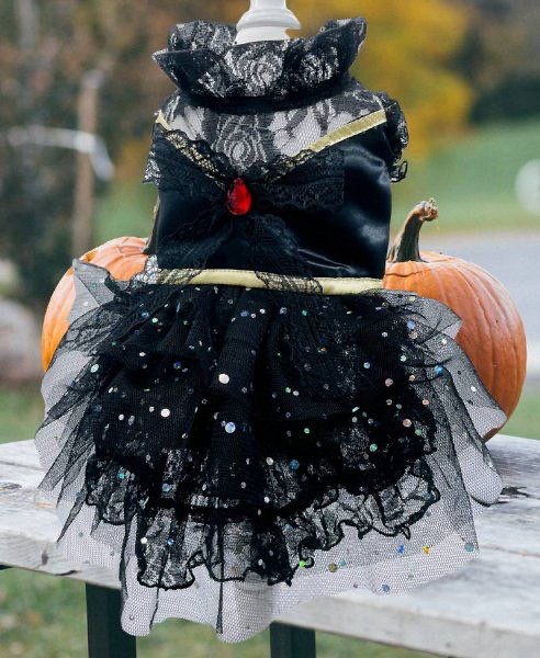 ハロウィン ペット 犬 猫 かぼちゃ 被り物 帽子 Sサイズ 写真映え