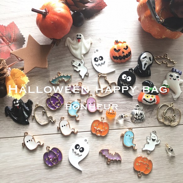 【送料無料】数量限定  〜Halloween happy bag〜 1枚目の画像