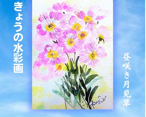 きょう水彩画「昼咲き月見草」BF0902 絵画 キーちゃん 通販