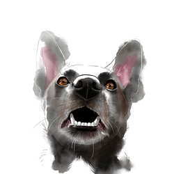 ペットイラスト似顔絵　サンプル作品　犬　肖像画　オーダーメイド 1枚目の画像