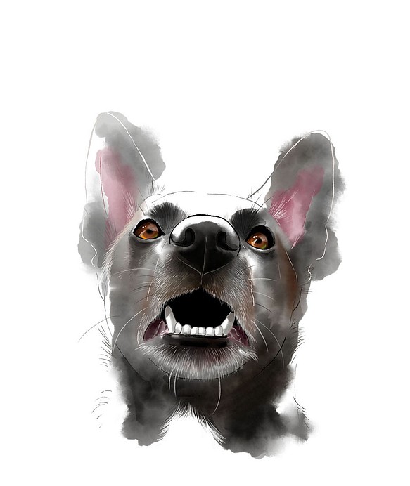 ペットイラスト似顔絵　サンプル作品　犬　肖像画　オーダーメイド 1枚目の画像