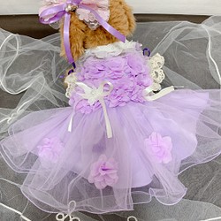 犬猫うさちゃん服　アプリコットカラー、紫色のお花畑レースドレス 1枚目の画像