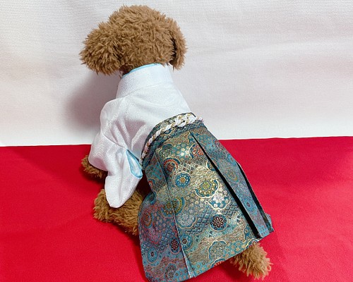 犬の袴✨犬用着物&袴セット 白×水色 金襴生地 ペット服