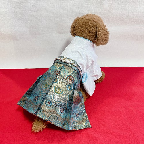 犬の袴✨犬用着物&袴セット 白×水色 金襴生地 ペット服・アクセサリー