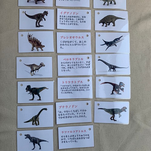 恐竜　カード