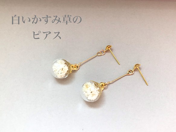 白】揺れる かすみ草 ガラスドーム ピアス イヤリング イヤリング