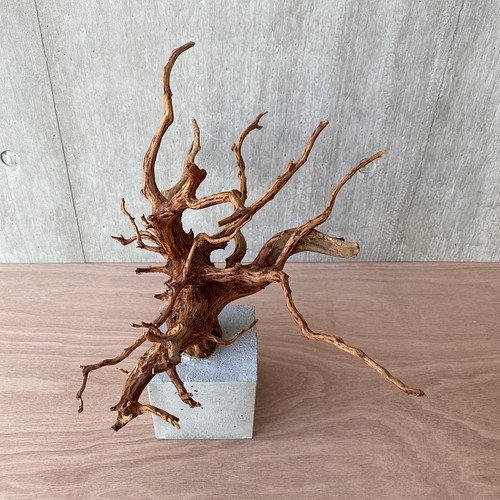 コンクリート盆栽 ( L brown A -2 ) 流木 オブジェ ディスプレイ 高級 