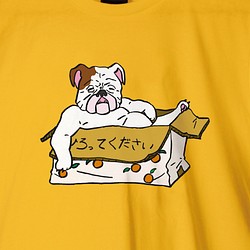 「犬」拾ってくださいTシャツ 1枚目の画像