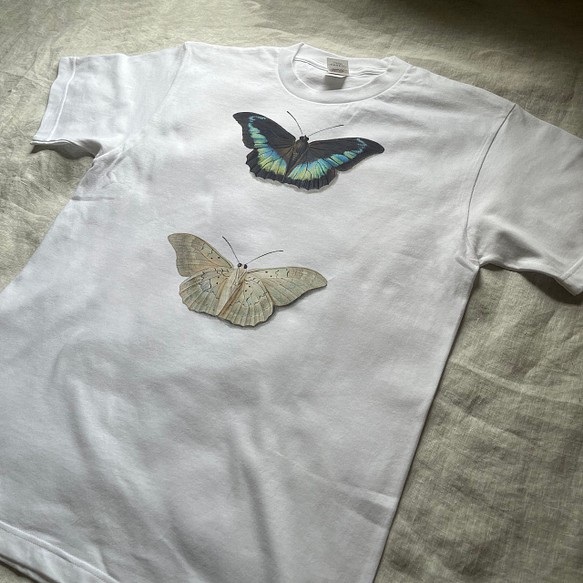 ヘビーウェイトTシャツ / ゲオルギウス ヤコブス ヨハネス ファン オス「蝶々 の 表 と 裏」 Tシャツ 絵 春 1枚目の画像