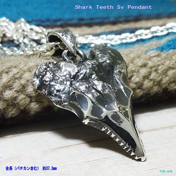 鮫の歯 シャークティース shark teeth シルバーペンダント 925