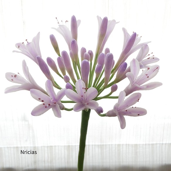 再販 華やかで可憐な花 クレイフラワーno M3 1 フラワー リース Nricias 通販 Creema クリーマ ハンドメイド 手作り クラフト作品の販売サイト