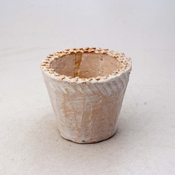 陶器製（2号ポット相当）多肉植物の欲しがる植木鉢 NSSS-4614 1枚目の画像