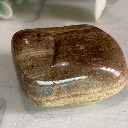 樹の化石✨珪化木 ペトリファイドウッド 原石 タンブル 置物 東洋 