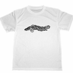 雷魚 ドライ Tシャツ ライギョ 釣り フィッシング グッズ ナマズ 鯰 グッズ