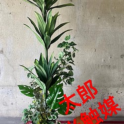 光触媒 人工観葉植物 ウォールグリーン フェイク フラワー マッサン