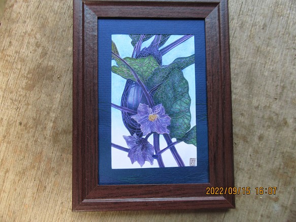 茄子　夏　秋　紫　野菜の花　 1枚目の画像