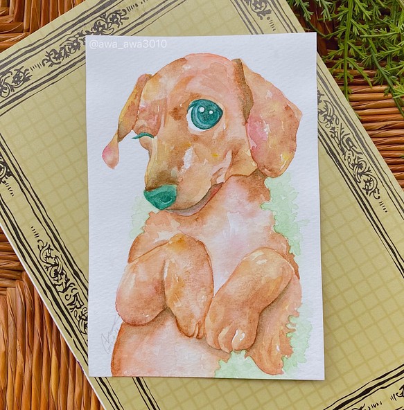 ミニチュアダックスフンド 絵はがき ポストカード 手描き動物イラスト 透明水彩画 ペット 小型犬 原画 絵画 アート 絵画 あわ 通販 Creema クリーマ ハンドメイド 手作り クラフト作品の販売サイト