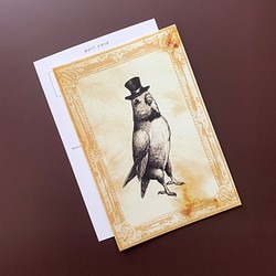 ポストカード 3枚組 - 「どうぶつのサーカス団」団長インコ【No.003】 1枚目の画像
