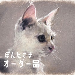 猫の似顔絵 描きます♪︎ 愛猫をアートに♪︎ 色鉛筆画(フルカラー・顔