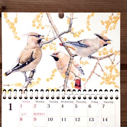 野鳥のカレンダー 2023 (壁かけ版) 1枚目の画像