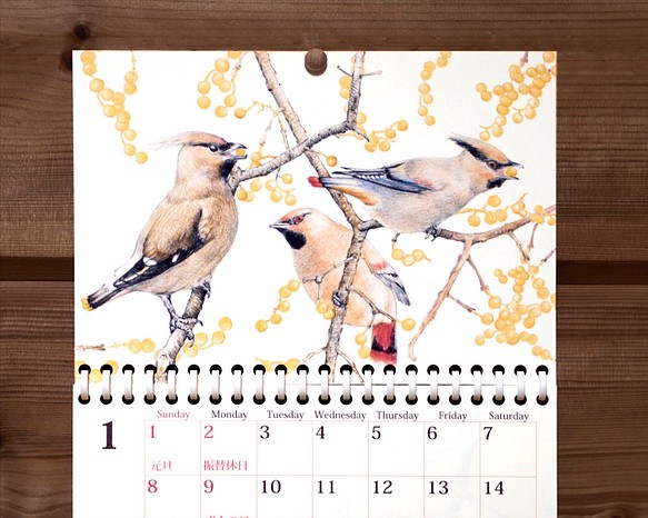 野鳥のカレンダー 2023 (壁かけ版) 1枚目の画像
