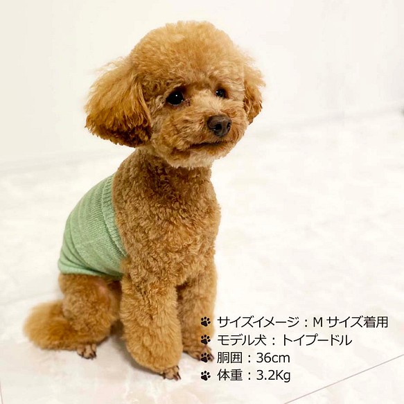 ｼﾙｸﾒﾗﾝｼﾞ ﾜﾝちゃん 超 小型犬 用 ﾛﾝｸﾞﾀｲﾌﾟ 腹巻き S M ペット服 アクセサリー 結糸 通販 Creema クリーマ ハンドメイド 手作り クラフト作品の販売サイト