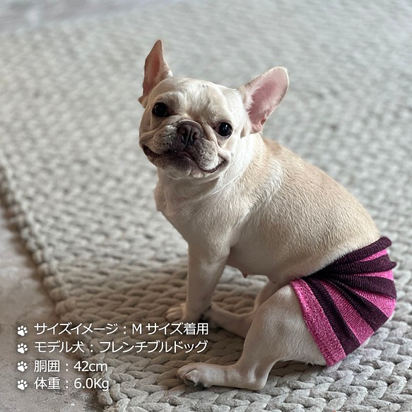 ｼﾙｸﾒﾗﾝｼﾞ ﾜﾝちゃん 超 小型犬 用 ﾛﾝｸﾞﾀｲﾌﾟ腹巻き ﾎﾞｰﾀﾞｰ S M ペット服 アクセサリー 結糸 通販 Creema クリーマ ハンドメイド 手作り クラフト作品の販売サイト