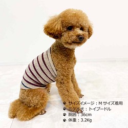 ｼﾙｸﾒﾗﾝｼﾞ ﾜﾝちゃん 超 小型犬 用 ﾛﾝｸﾞﾀｲﾌﾟ腹巻き ｱｸｾﾝﾄﾎﾞｰﾀﾞｰ S M ペット服 アクセサリー 結糸 通販 Creema クリーマ ハンドメイド 手作り クラフト作品の販売サイト