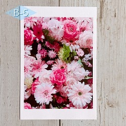 【B-5】写真ポストカード（単品）ピンクフラワー 1枚目の画像