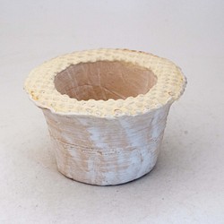 陶器製（2号ポット相当） #多肉植物 の欲しがる 植木鉢 PScd-イエロー 5082 1枚目の画像