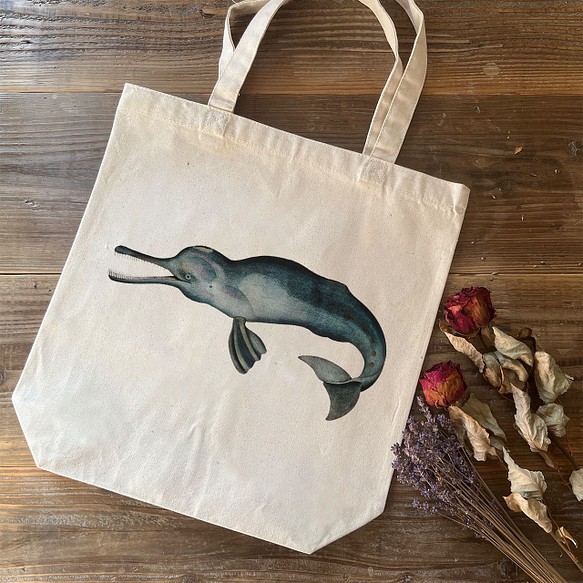トートバッグ / ジョン エドワード グレイ「インド カワ イルカ」 カバン 海豚 個性的 絵 アート イラスト 絵画 1枚目の画像