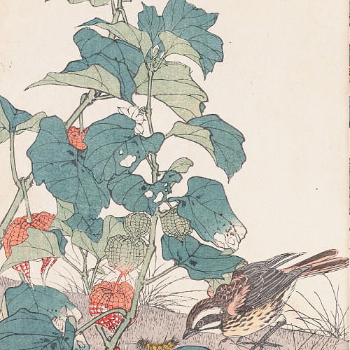 NO.418】鬼灯と雀の花鳥図日本画アートポスター☆和モダン浮世絵和室 