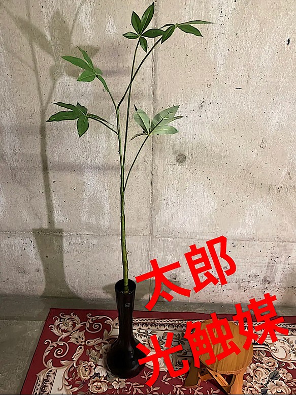 光触媒 人工観葉植物 ウォールグリーン フェイクグリーン シェフレア