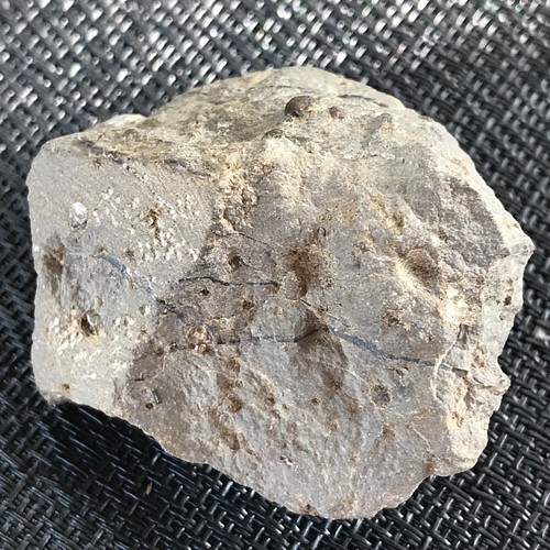 ゴビ石−988 眼石 鉱物標本-
