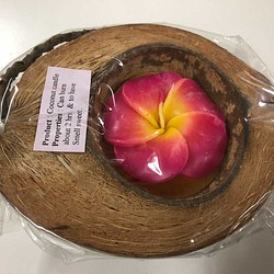 ココナッツキャンドル　ココナッツを丸ごと使ったエスニック風キャンドルベース 1枚目の画像